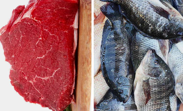مقایسه گوشت قرمز و گوشت ماهی
